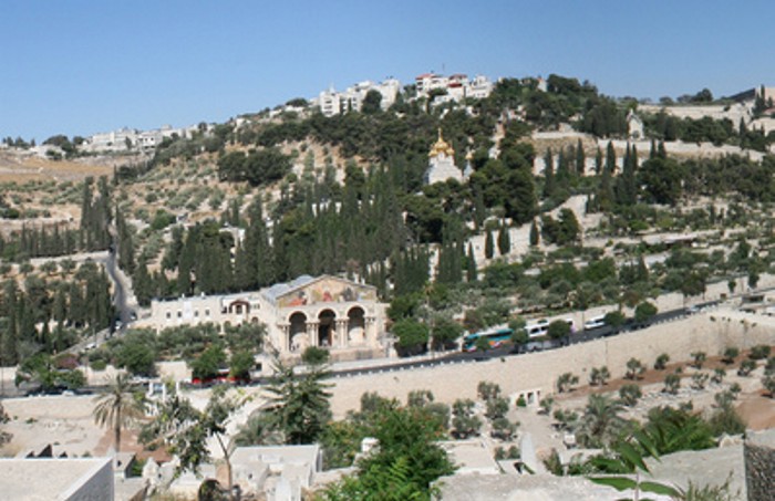 mt-olives from Temple Mount